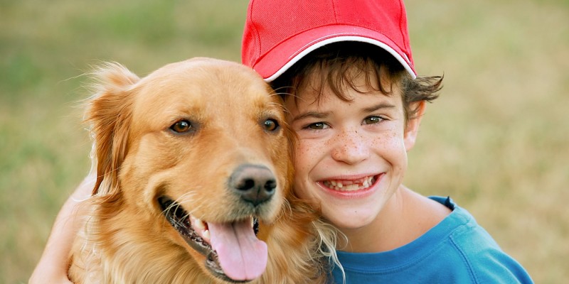 Hund spielt mit Jungen