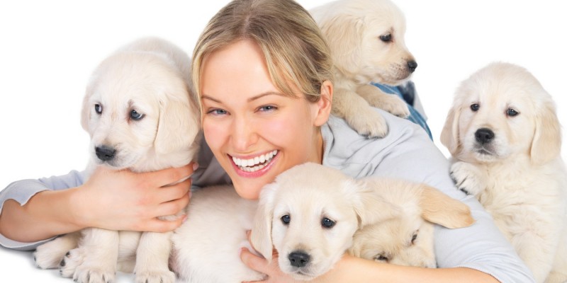 Frau mit frhlichen Golden Retriever-Welpen